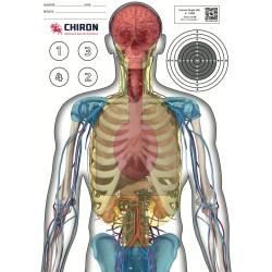 50x Cibles anatomiques 🎯